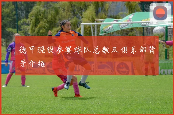 德甲现役参赛球队总数及俱乐部背景介绍