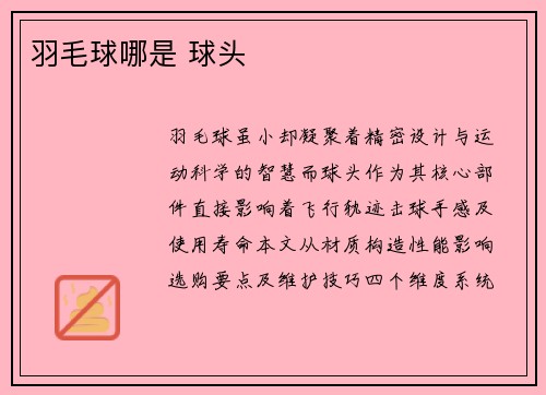 羽毛球哪是 球头